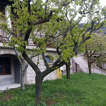 Panoramica
