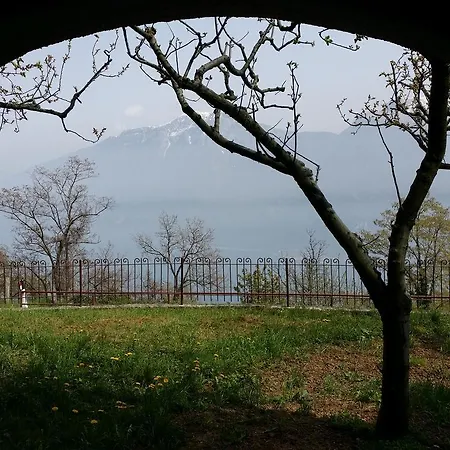 Panoramica